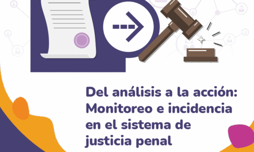 Del análisis a la acción. Monitoreo e incidencia en el sistema de justicia penal